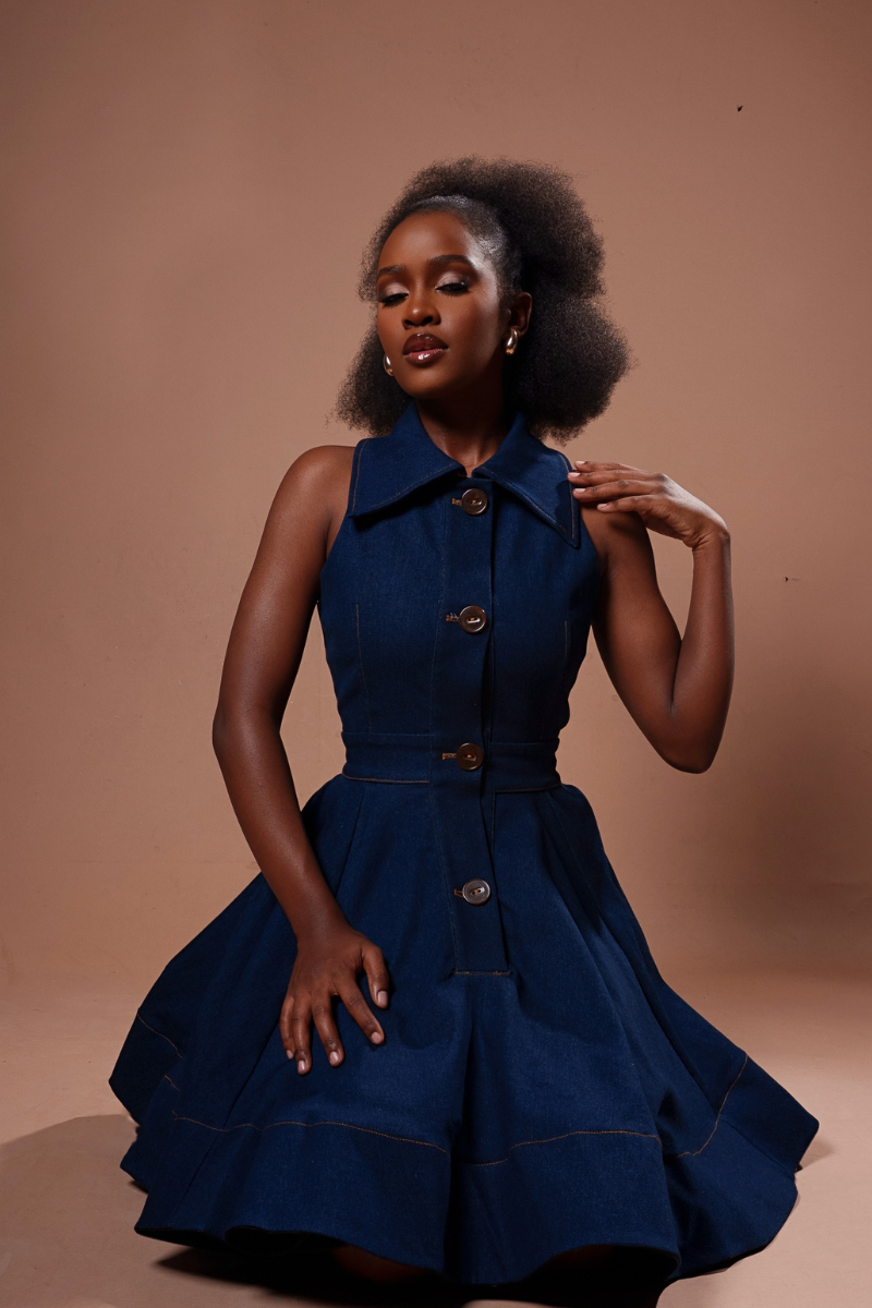 NOVA DENIM DRESS