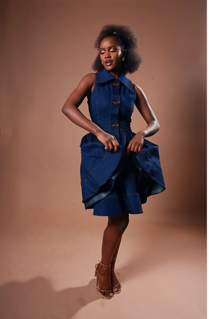NOVA DENIM DRESS